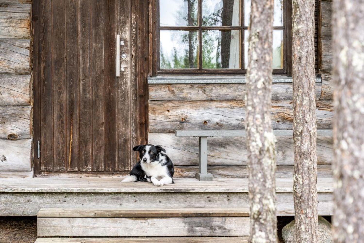 Holiday Village Himmerki Posio Exterior foto